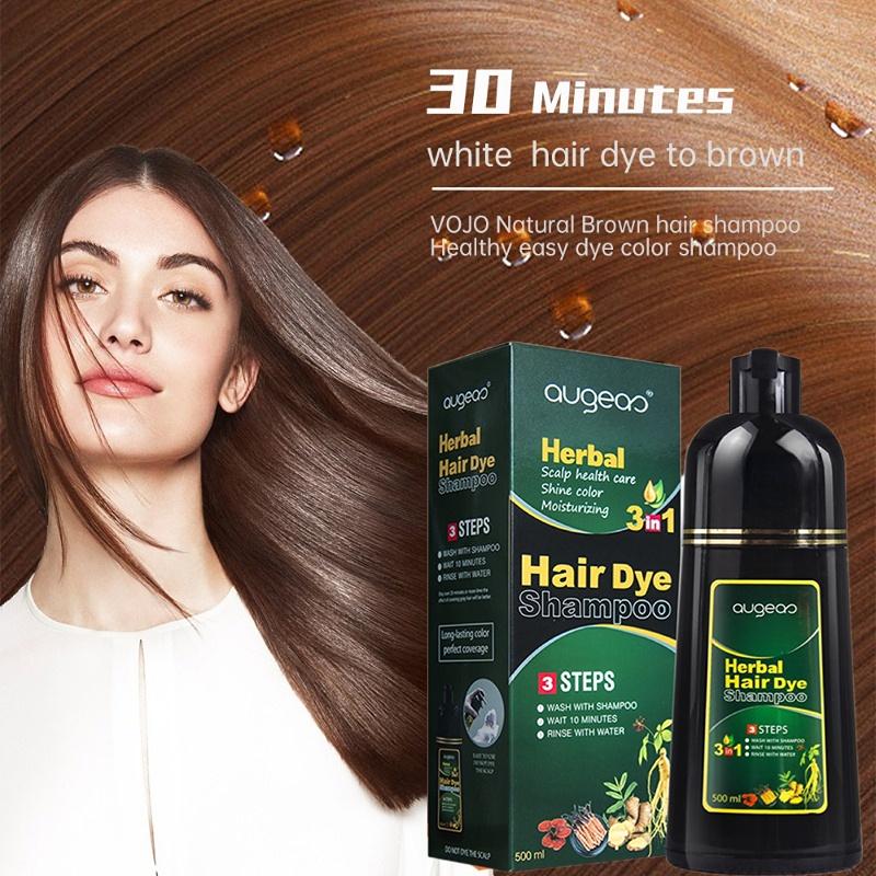 Instant Hair Dye Shampoo Hair Color Shampoo Chestnut Brown Hair Dye Shampoo for Women & Men 3 in 1- Herbal Ingredients Coloring Shampoo in Minutes, Instant Hair Colouring 500ml Haircare Pack of 1