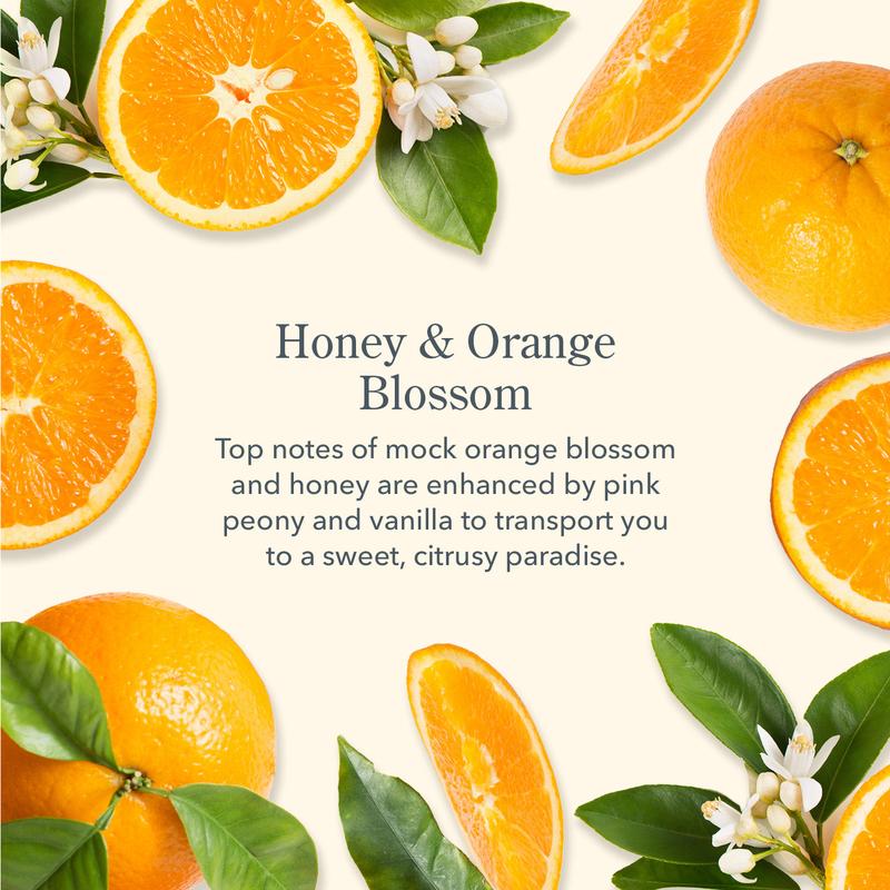 Honey & Orange Blossom Whipped Body Cream