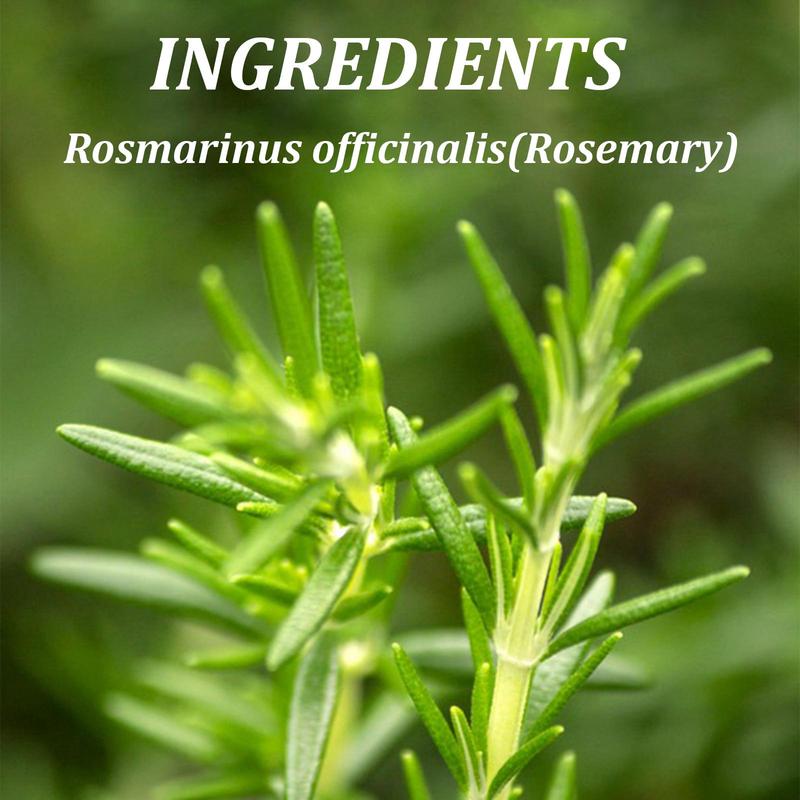 Organic Rosemary Essential Oil, Hair Care & Scalp Care Oil, Scalp and Hair Strengthening Oil, Suitable for Most Hair Types, Hair, Skin, Eyebrows, Eyelashes, Nails